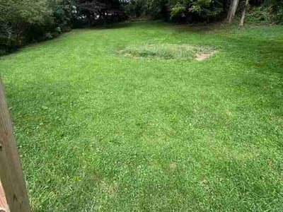 Lawn Care service in Butler, 16001