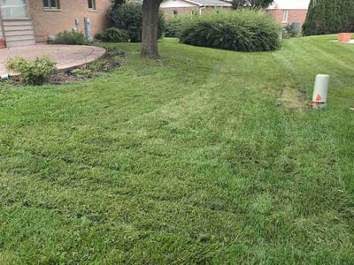 Lawn Care service in Woodridge, 60517