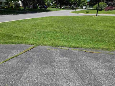 Lawn Care service in Irondeqoit, 14622