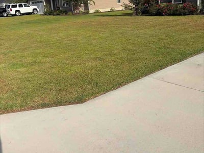 Lawn Care service in Saint Simons Island, 31522
