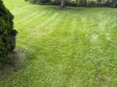 Lawn Care service in Queensbury, 12804