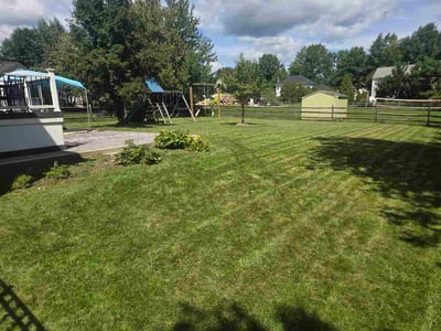 Lawn Care service in Lansdale, 19446