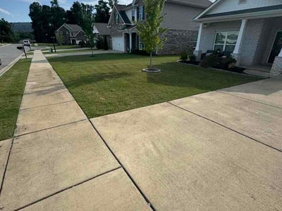 Lawn Care service in Owens Cross Roads, 35763