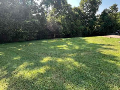 Lawn Care service in Owens Cross Roads, 35763