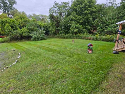 Lawn Care service in Canastota, 13032