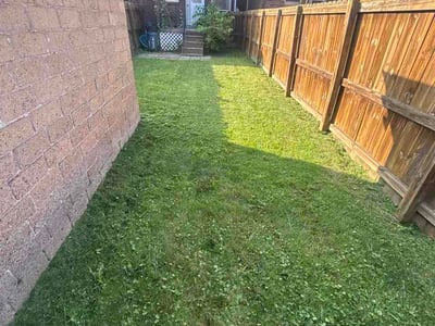 Lawn Care service in Ford City, 16226