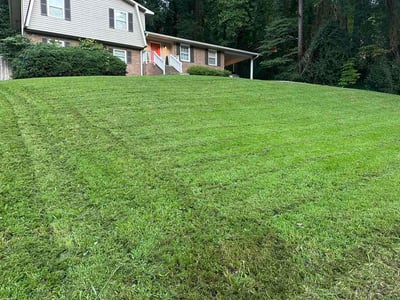 Lawn Care service in Lexington, 02420