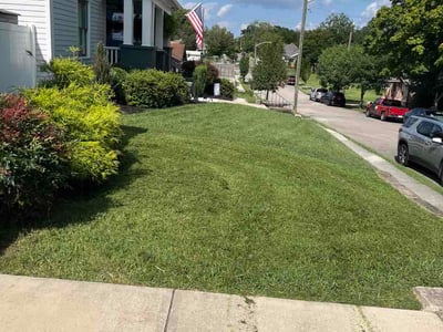 Lawn Care service in Oak Ridge, 37830