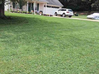 Lawn Care service in Locust Grove, 30248