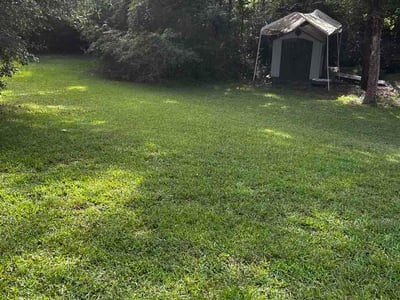 Lawn Care service in Locust Grove, 30248