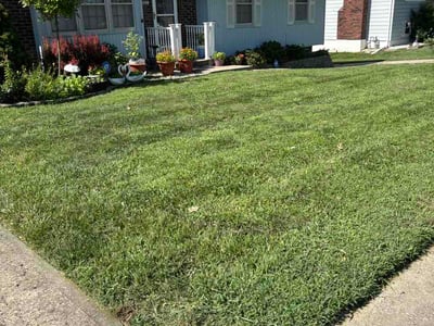 Lawn Care service in Raymore, 64083
