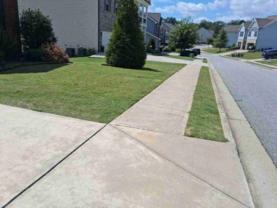 Lawn Care service in Auburn, 30011
