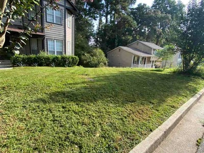 Lawn Care service in Auburn, 30011