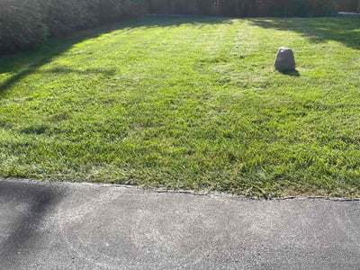 Lawn Care service in Warrenville, 60555