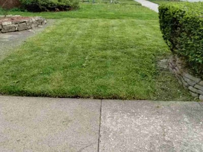Lawn Care service in Warrenville, 60555