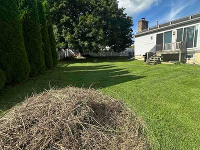Lawn Care service in Lehigh Valley, 18103