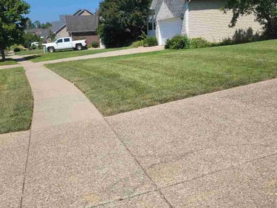 Lawn Care service in Radcliff, 40160