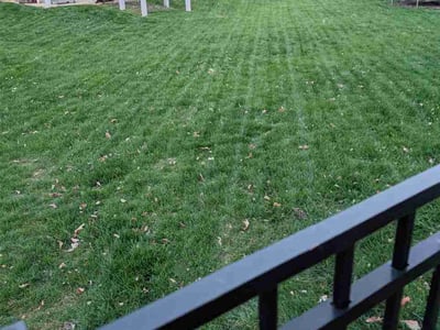 Lawn Care service in Radcliff, 40160