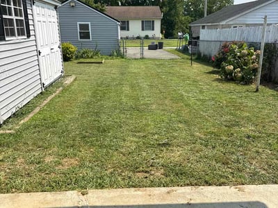 Lawn Care service in Phillipsburg, 08865