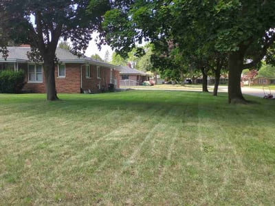 Lawn Care service in Wilmington, 01887