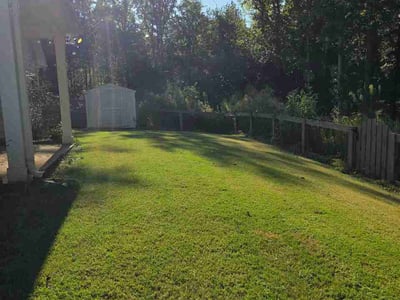 Lawn Care service in Bowling Green, 42101
