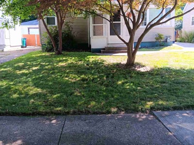 Lawn Care service in Sanborn, 14132