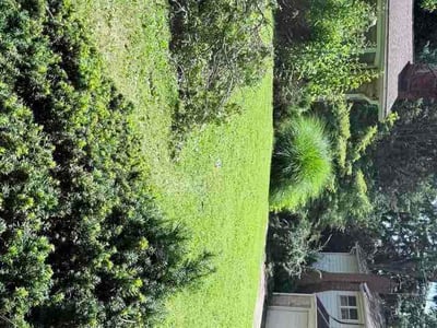 Lawn Care service in Havertown, 19083