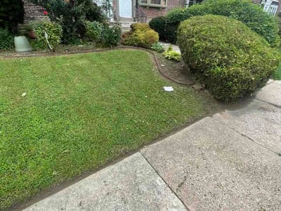 Lawn Care service in Havertown, 19083