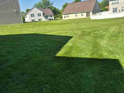 Lawn Care service in Schaumburg, 60194