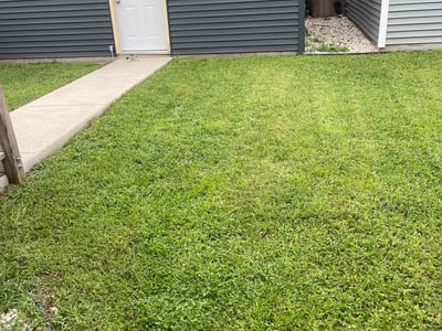 Lawn Care service in Schaumburg, 60194