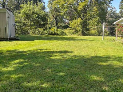 Lawn Care service in Clyde, 28721