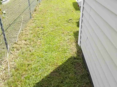 Lawn Care service in Haverhill, 01830
