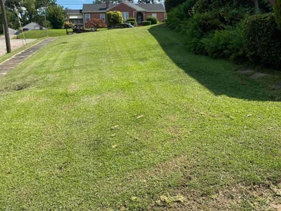 Lawn Care service in Clay, 35126