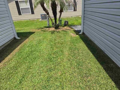 Lawn Care service in Sebastian, 32958