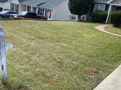 Lawn Care service in Norwood, 02062