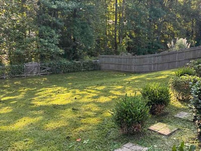 Lawn Care service in Temple, 30179