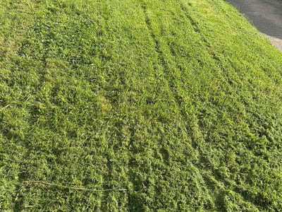 Lawn Care service in Beaver, 15009