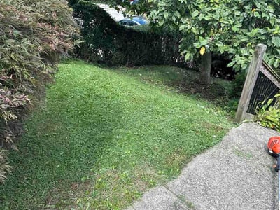 Lawn Care service in Beaver, 15009