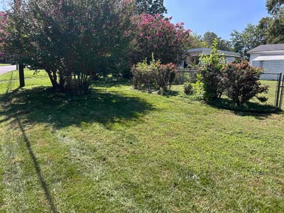 Lawn Care service in Mebane, 27302