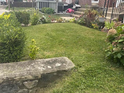 Lawn Care service in Aston, 19014