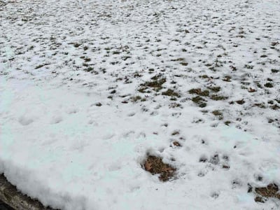 Lawn Care service in Ridgewood, 07450