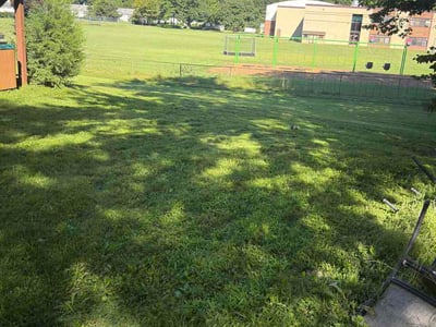 Lawn Care service in Nutley, 07110