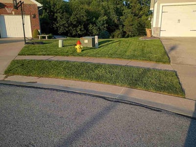 Lawn Care service in Highland, 62249