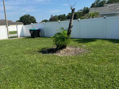 Lawn Care service in Ridgewood, 07450
