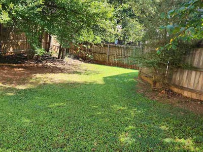 Lawn Care service in Brookhaven, 30319