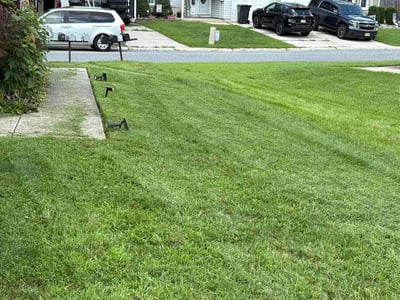 Lawn Care service in Blackwood, 08012