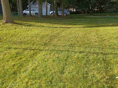 Lawn Care service in Fairport, 14450