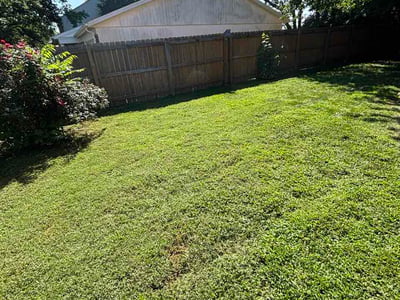 Lawn Care service in Marion, 62959