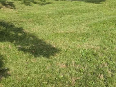Lawn Care service in Fairport, 14450