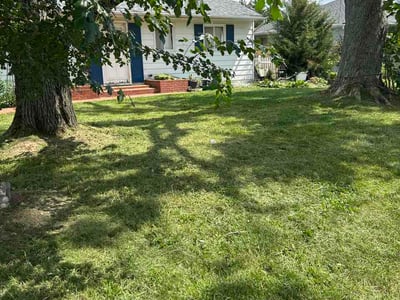 Lawn Care service in Phoenixville, 19460